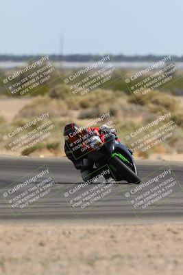 media/Mar-09-2024-SoCal Trackdays (Sat) [[bef1deb9bf]]/7-Turn 4 (120pm)/